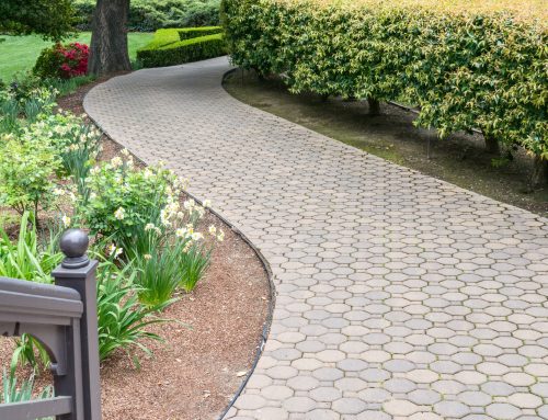 Exploring the Best Stone Options for Sidewalks and Pathways