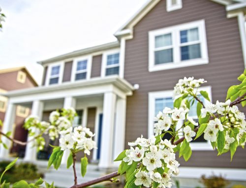 Top 3 Home Improvements for Spring